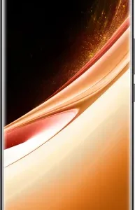 Vivo V60
